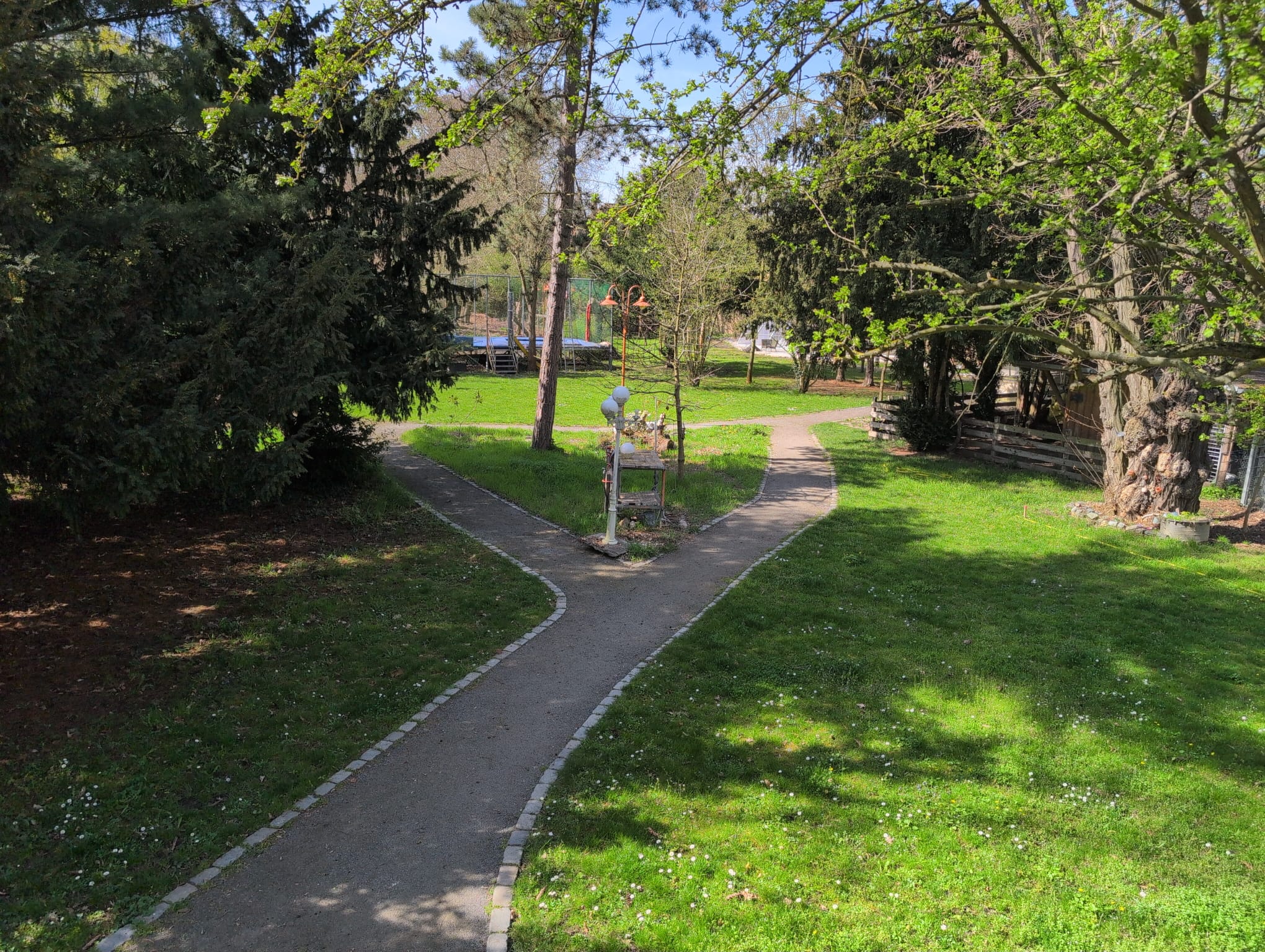 Pfad im Park